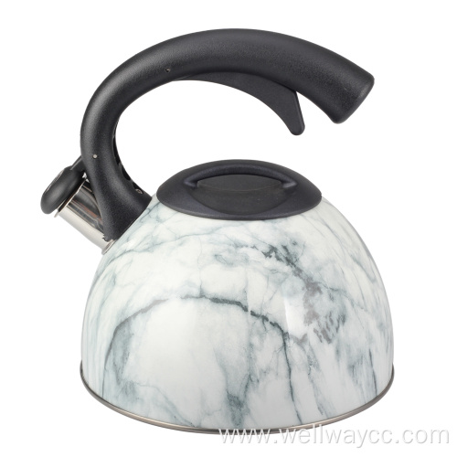 Collection 2.5 Liter Stainless Steel Whistling Kettle